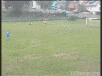 giphy.gif