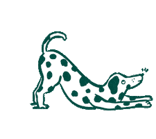 Dog Fun Sticker by Franklin Pet Food