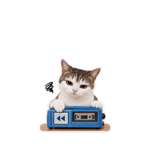 Cat Sticker