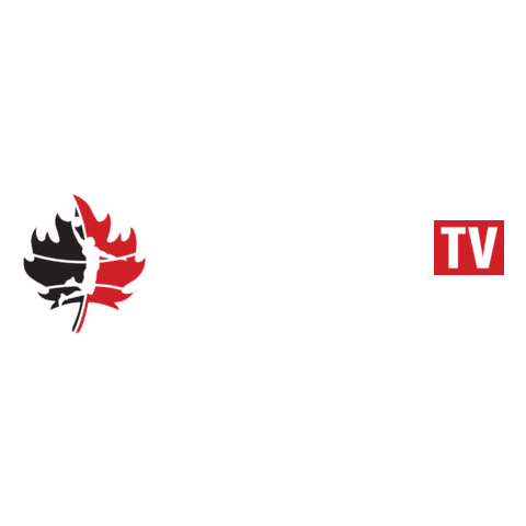 London Lightning Basketball Sticker