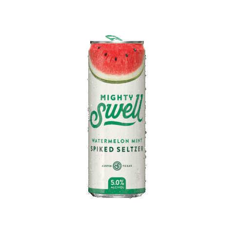 Watermelon Seltzer Sticker by Mighty Swell