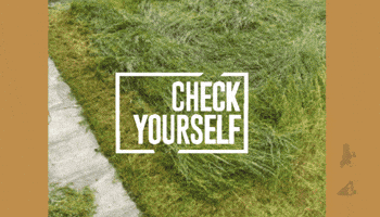 Animation Approve GIF by DannyDidit LTD