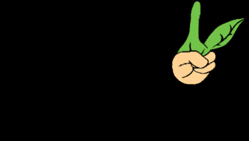 Rollito Vegano GIF
