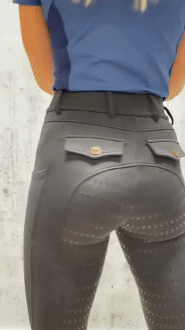 Horses GIF