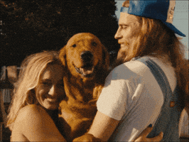 The Dog GIF by Leo33