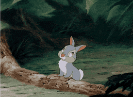 bunny rabbit GIF by Disney