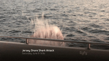 shark attack sharks GIF