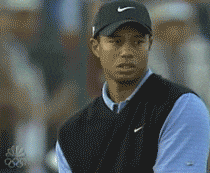 giphy.gif?cid=82a1493boqmkq2h5h5ee7lat68p7006hsd9ll1gcp0nqf4u1&rid=giphy.gif