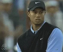 Tiger Woods Win GIF
