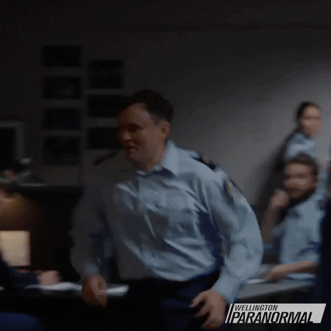 Running Into Glass GIF by Wellington Paranormal