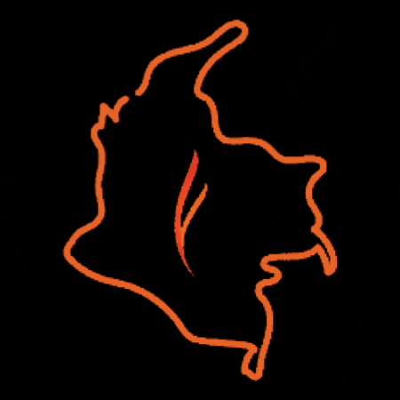 Origen Red de Liderazgo GIF