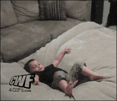 couch win GIF
