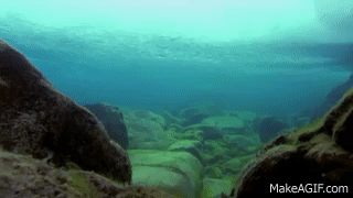 planet earth GIF