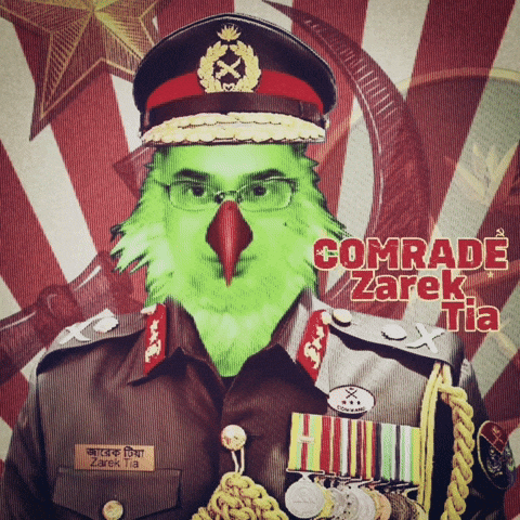 Bangladesh GIF