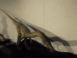 Dinosaur GIF