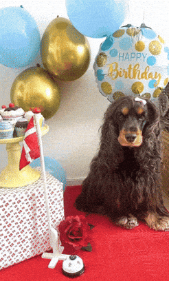 Tillykke Fødselsdag GIF