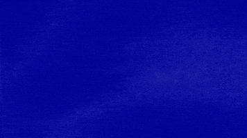 Auction GIF by Jeopardy!