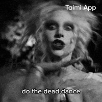 Lady Gaga GIF by Taimi