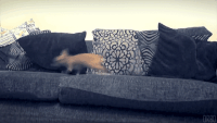 post bathtime GIF