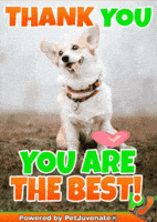 Thank You U Are The Best Omg Thanks Fur Kid Hug GIF by PetJuvenate - PJ