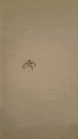 spider life bugs GIF by Dr. Donna Thomas Rodgers