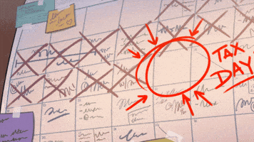 Wrestle Pro Wrestling GIF by Adult Swim