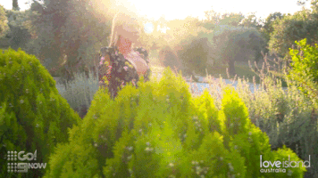 love island GIF by Love Island Australia