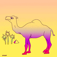 Magic Mushrooms Smoking GIF by Animation Domination High-Def