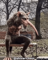 Cat Horror GIF