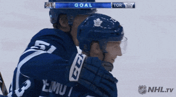 ice hockey sport GIF by NHL