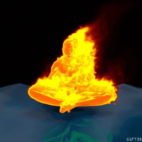 this is fine GIF