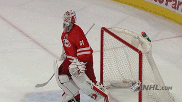 ice hockey GIF by NHL