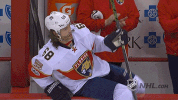 ice hockey GIF by NHL