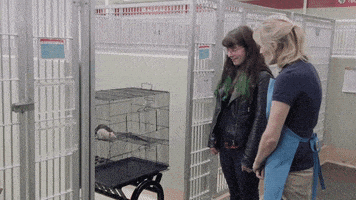 Scheming Season 7 GIF by Portlandia