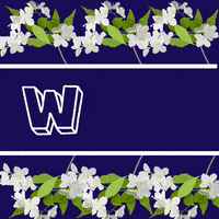 Surprise Wow GIF by Digital Pratik