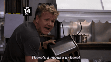 gordon ramsay fox GIF by Gordon Ramsay's 24 Hours to Hell and Back