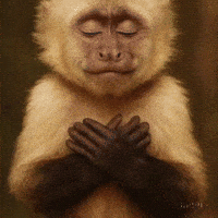 Monkey Meditating GIF by Maryanne Chisholm - MCArtist