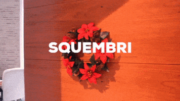 horse granada GIF by Squembri