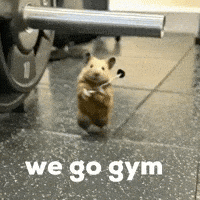 Go Work Out GIF