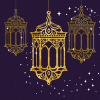 Festival Of Lights Ramadan GIF by evite
