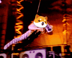 Money Crypto GIF by Baby Doge Coin