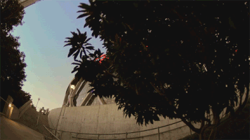 GIF by Golden State Warriors