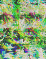 glitch gif art GIF by unmaru