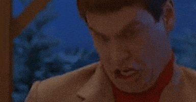 dumb and dumber GIF