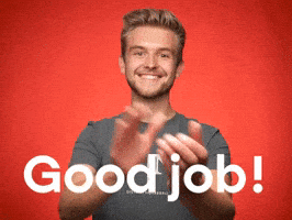 Well Done Good Job GIF by Perspectief