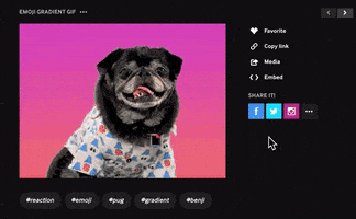 twitter upload GIF by How To Giphy