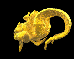 3d sculpture GIF by Miron