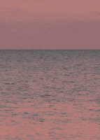 indian ocean GIF by Head Like an Orange