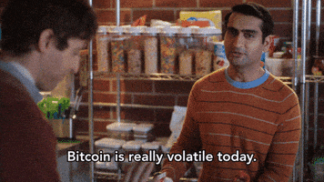 pied piper hbo GIF by Silicon Valley