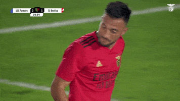 Sl Benfica Smile GIF by Sport Lisboa e Benfica